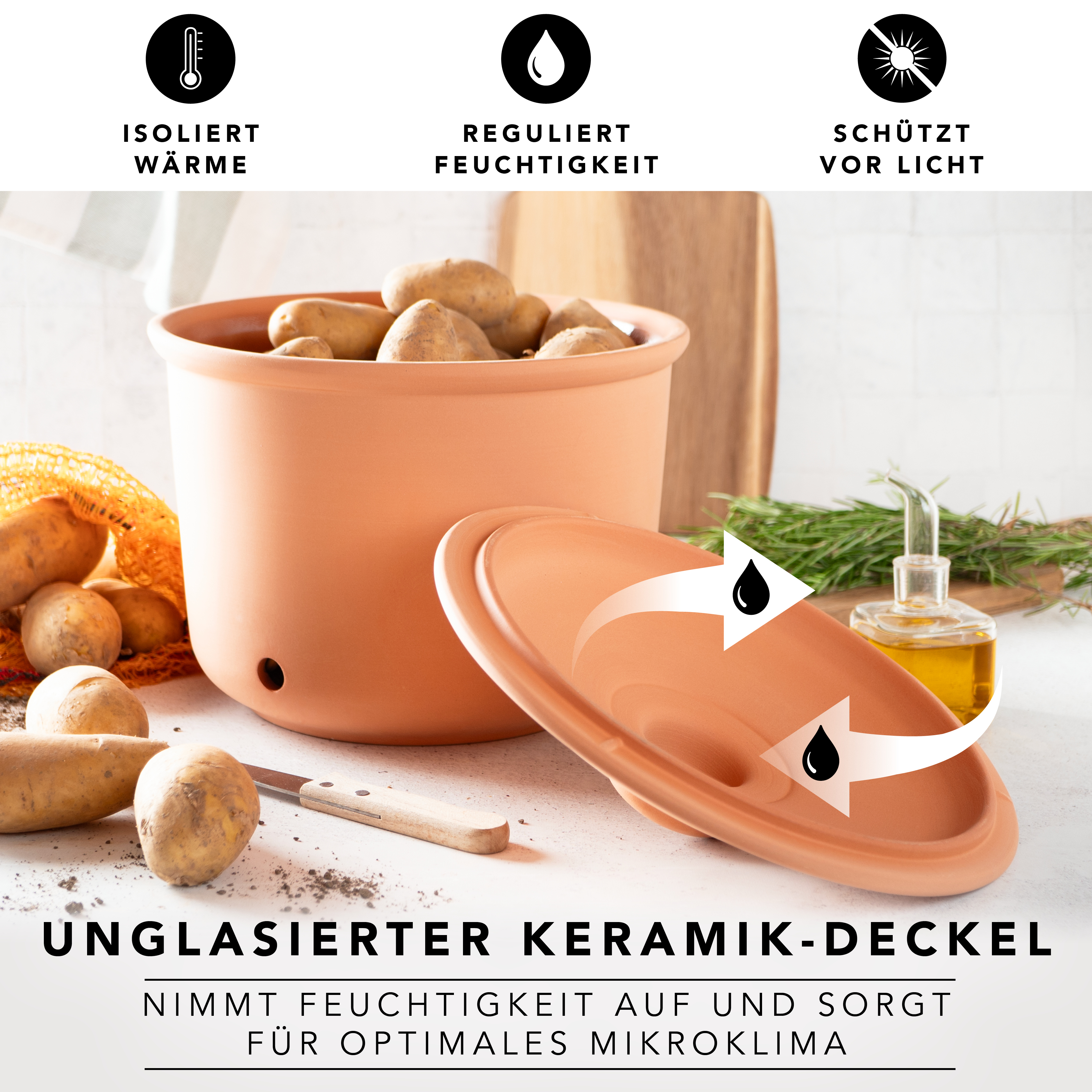 Römertopf Frische-Topf MAXI PLUS Kartoffel Terracotta 9145381 Deckel