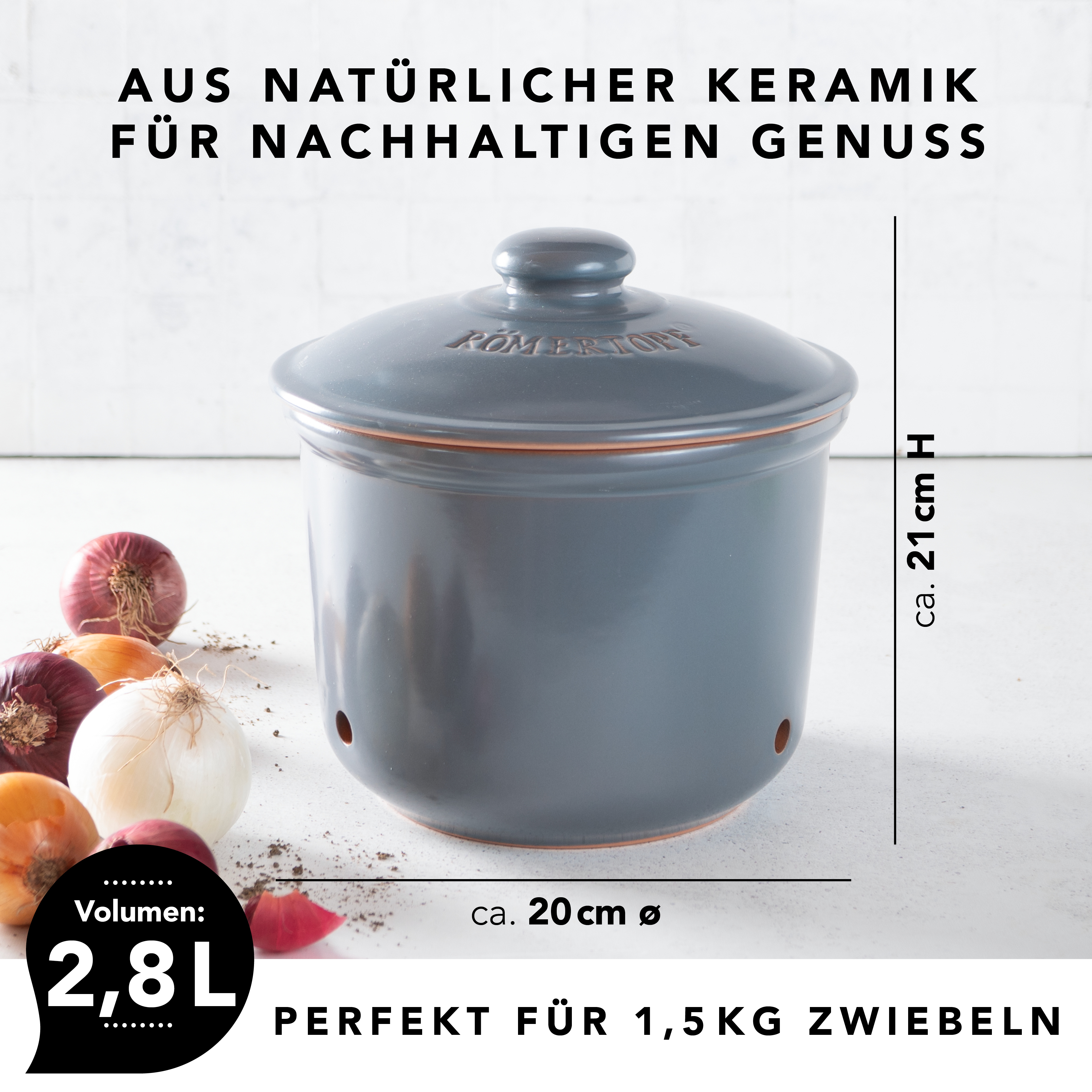 Römertopf Frische-Topf MAXI Zwiebel Blau Grau 9145292 Maße