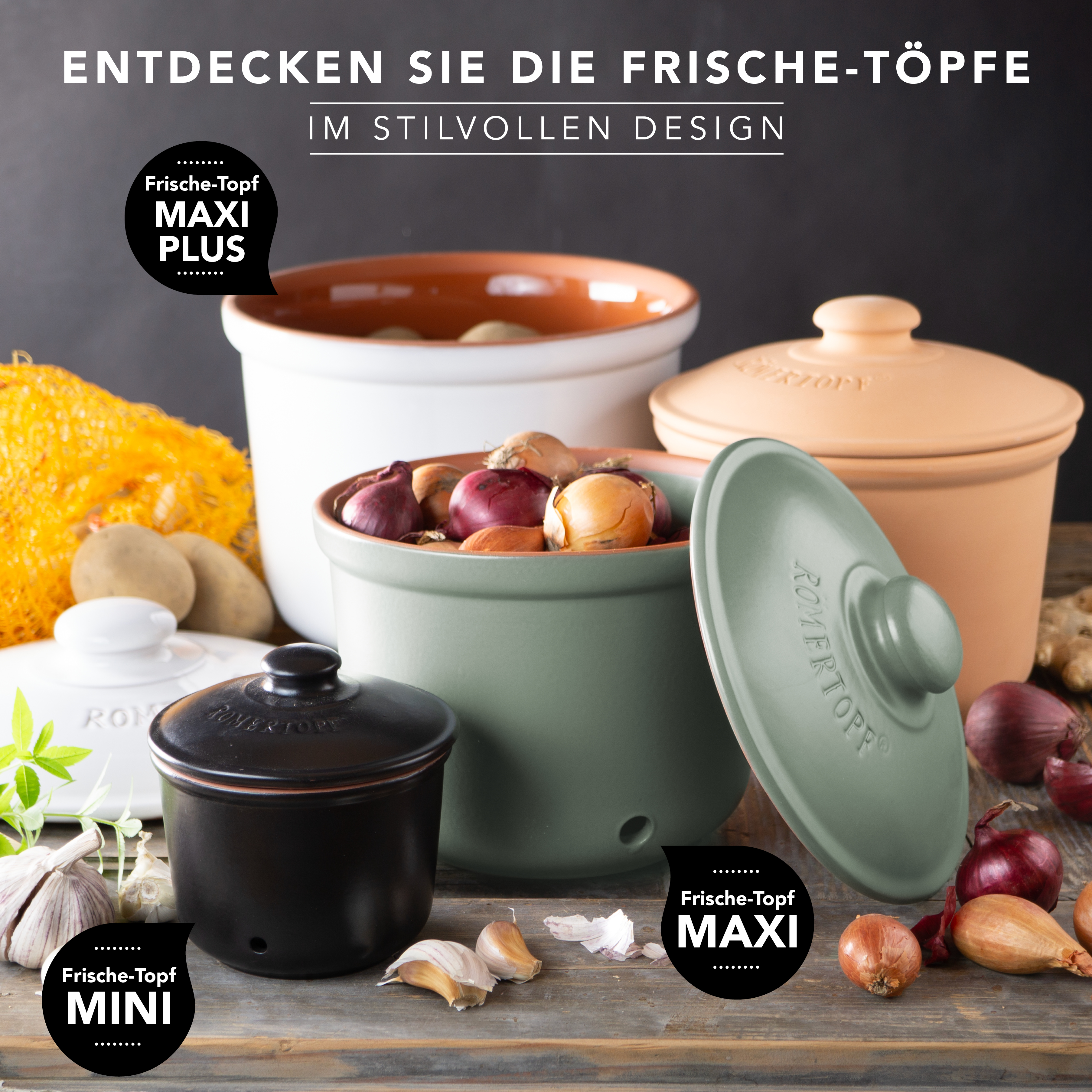 Römertopf Frische-Topf MINI Knoblauch blau grau 9145192 Familie