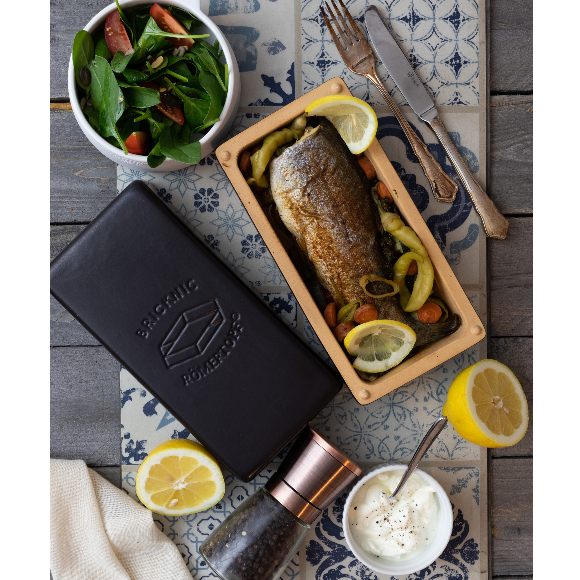 Römertopf Brick BBQ Topf BLACK EDITION 80006 Fisch