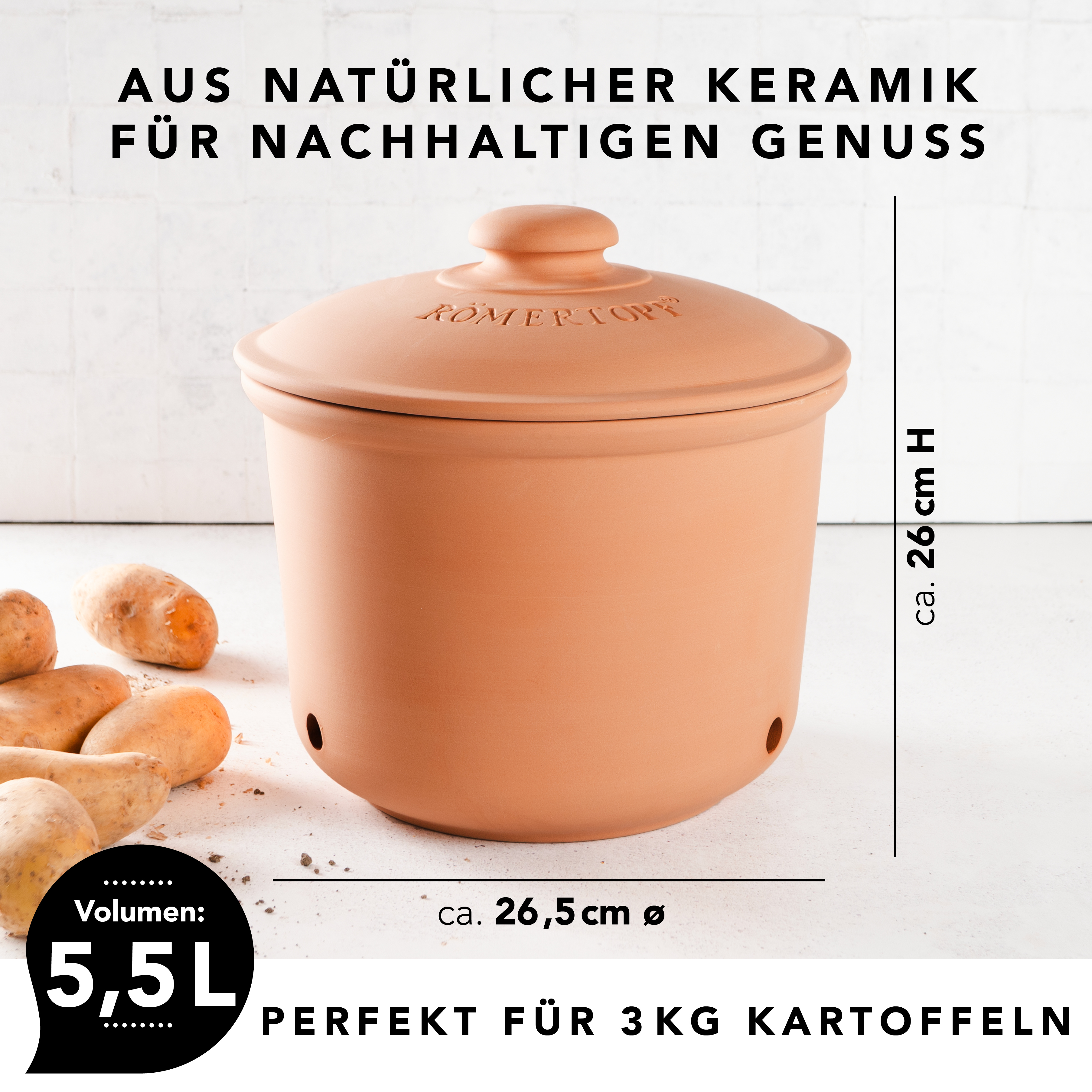 Römertopf Frische-Topf MAXI PLUS Kartoffel Terracotta 9145381 Maße